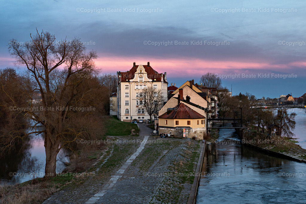 P1930972 | beatekidd-fotografie - Realisiert mit Pictrs.com