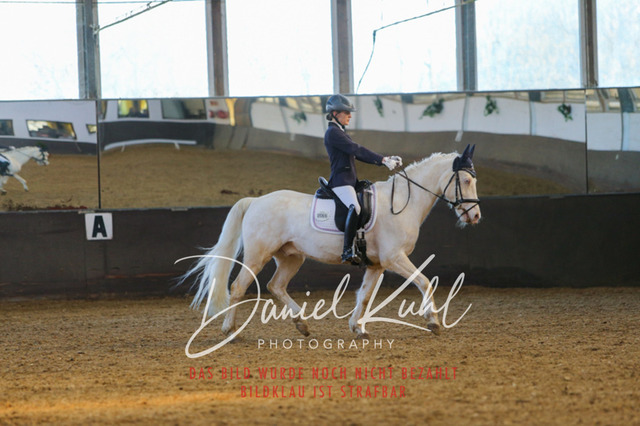 IMG_3254 | Turniersportfotografie; Pferdefotografie; Dressurfotografie
