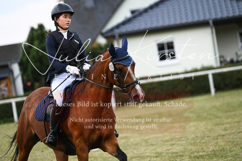 DSC_5509 | Pferde- und Turnierfotografie in Westsachsen. Pferdeportraits, Auftragszeichnungen und intuitive Kunst.