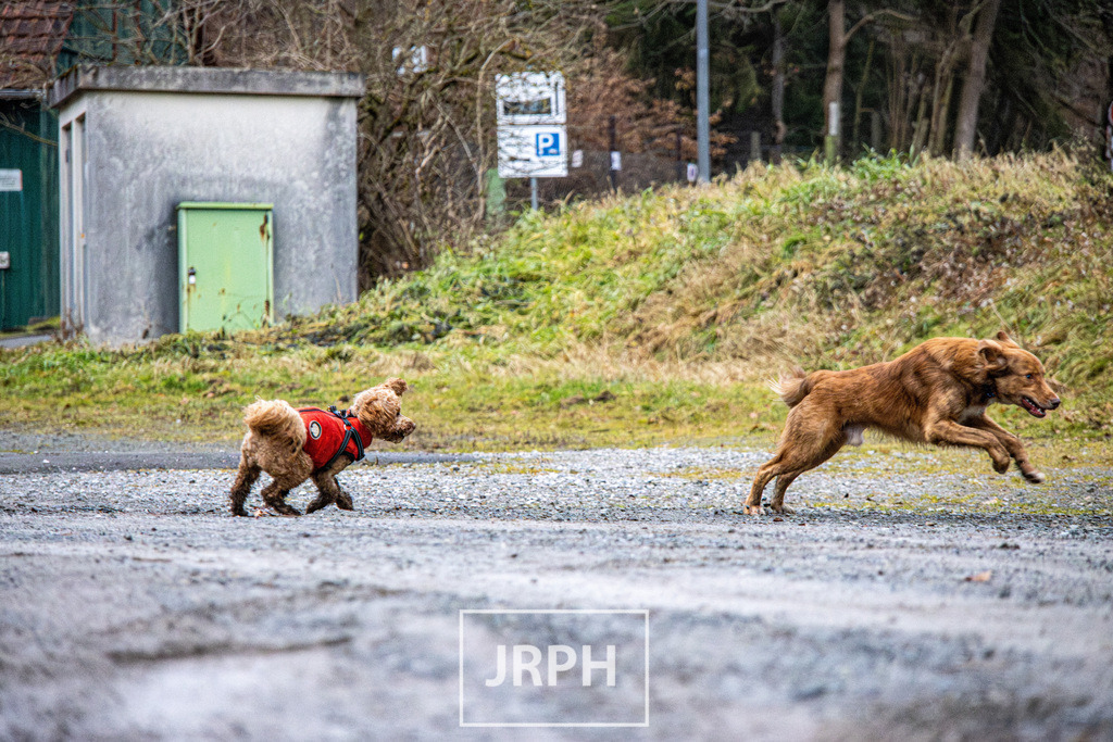 IMG_1480 | jrph - Realisiert mit Pictrs.com