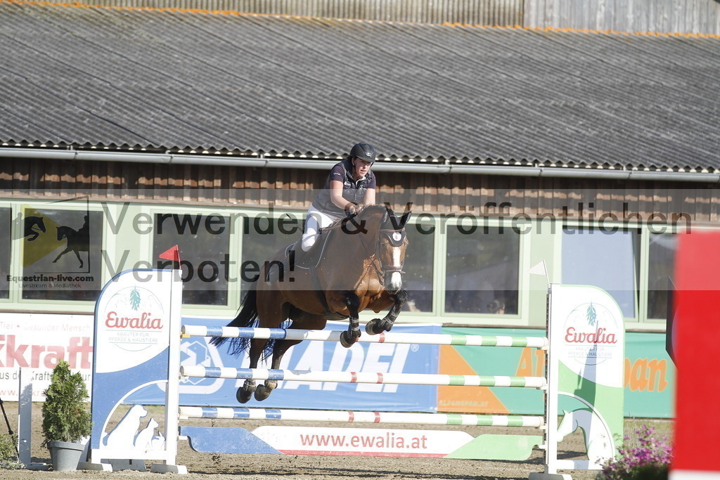 _MG_6810 | equestrian-live-com
