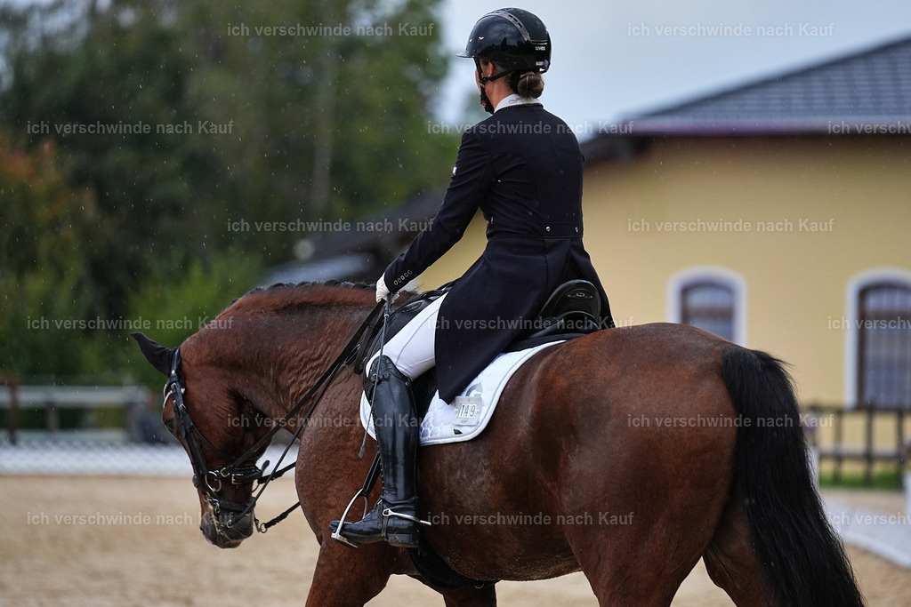 8_2-149-DRESSUR S_  -Marixx-4617 | working equitationturnier fotograf videograf stoibphotography marixx film working equitation deutschland reitsport turnierfotografie eventfotografie equestrian events