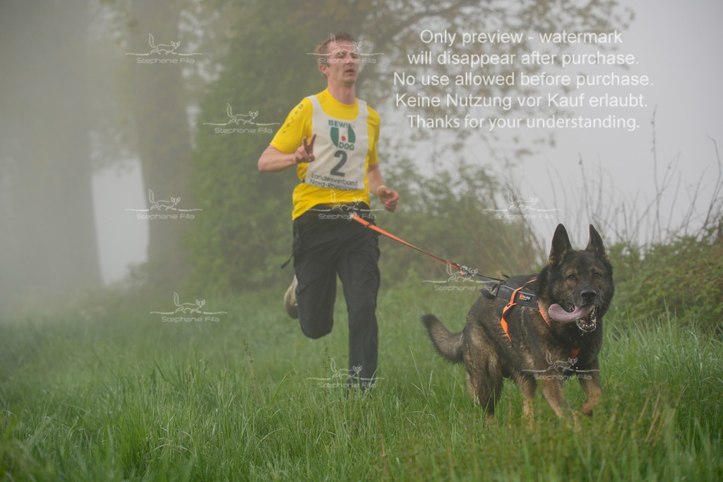 SA_GL2-18 | stephaniefillaphotographie - Realisiert mit Pictrs.com