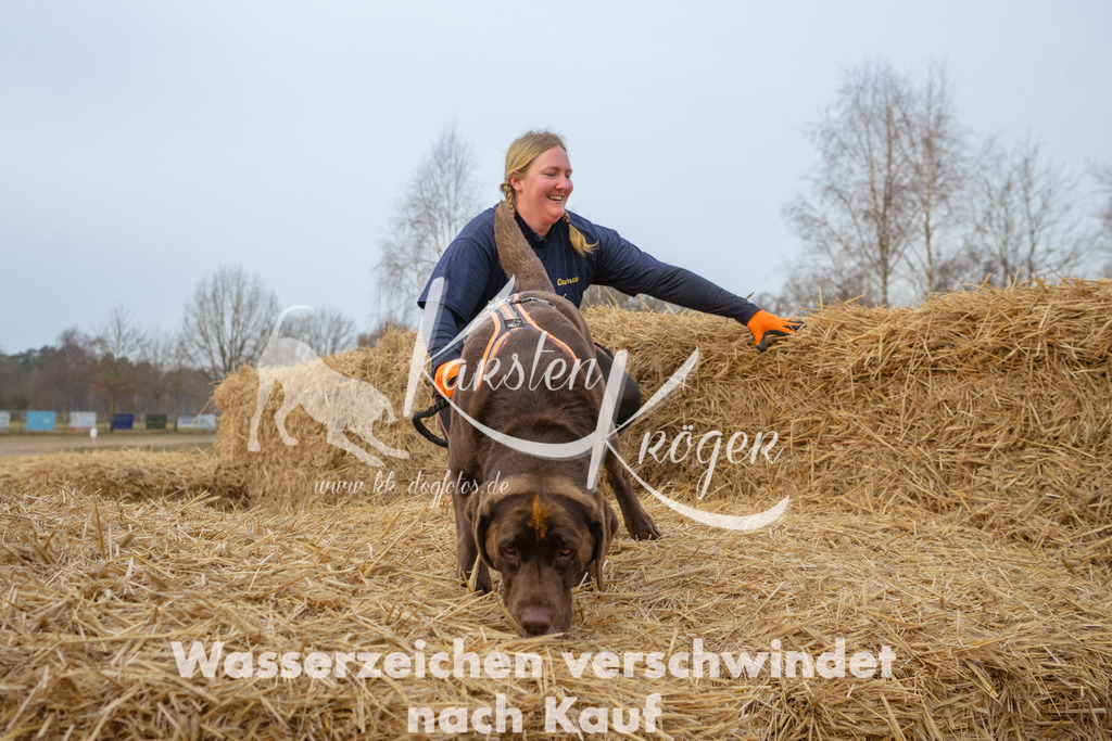 0846_ZZ94723 | kk-dogfotos