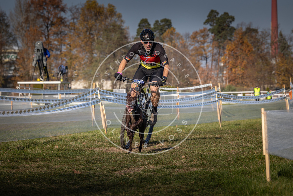 CaniXpix_0L8A6567 | Hundefotografie, Tierfotograf, Pfotenfotografie, Fotoshooting Hund, Hunde Portrait, Hundesport, Hundeportraits, Heideshooting, Hunde, Sportfotograf, Hundefotograf, Turnierhundsport, THS,  - Realisiert mit Pictrs.com