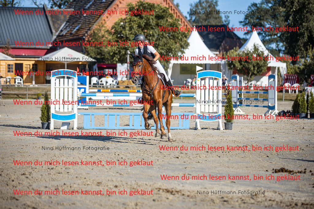 BK1A6075 | Turnierbilder Turnierfotos Nina Hüffmann Turnierfotografie Pferdefotografie Tierzeichnung Haustierzeichnung Pferdezeichnung Hundezeichnung Videograf  - Realisiert mit Pictrs.com