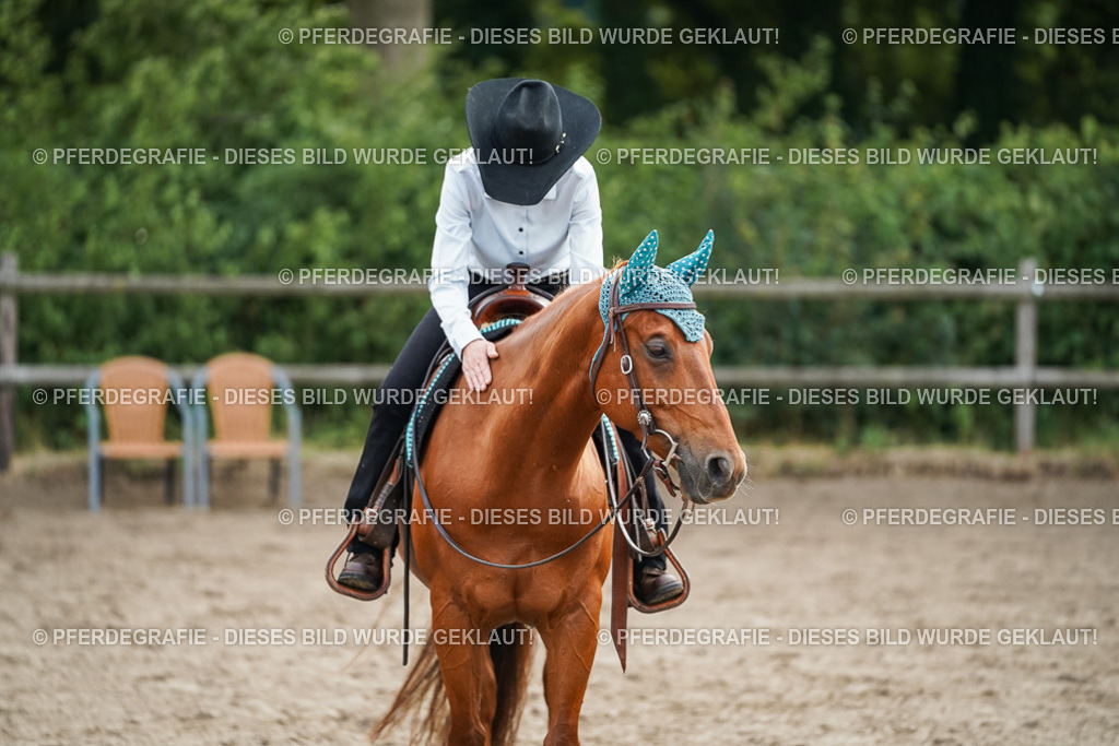 DSC04068 | Pferdegrafie