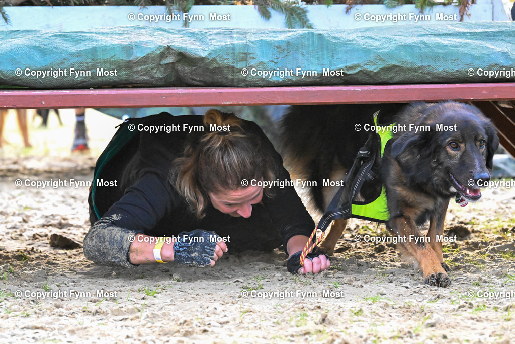 DSC_2660 | Hallo und herzlich Willkommen auf meiner Shop-Seite Fynn Most.

Ich wünsche Dir viel Spaß beim stöbern durch die Bilder, wenn Du Fragen hast oder Bilder vermisst, kannst du mir gerne eine Nachricht schreiben. - Realisiert mit Pictrs.com
