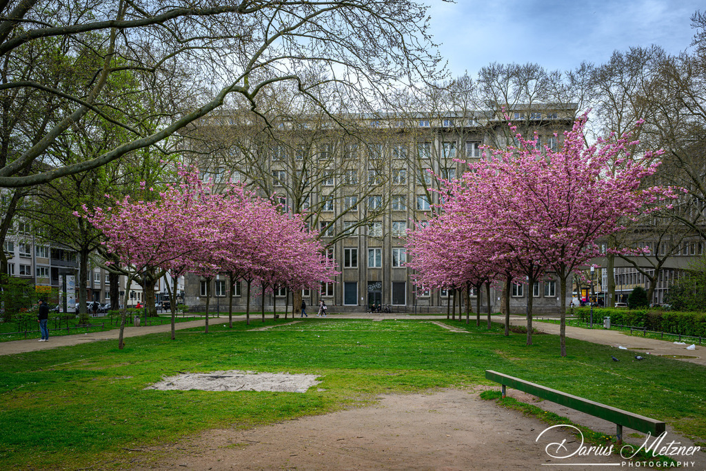 Mainzer Neustadt | Bilder aus der Mainzer Neustadt