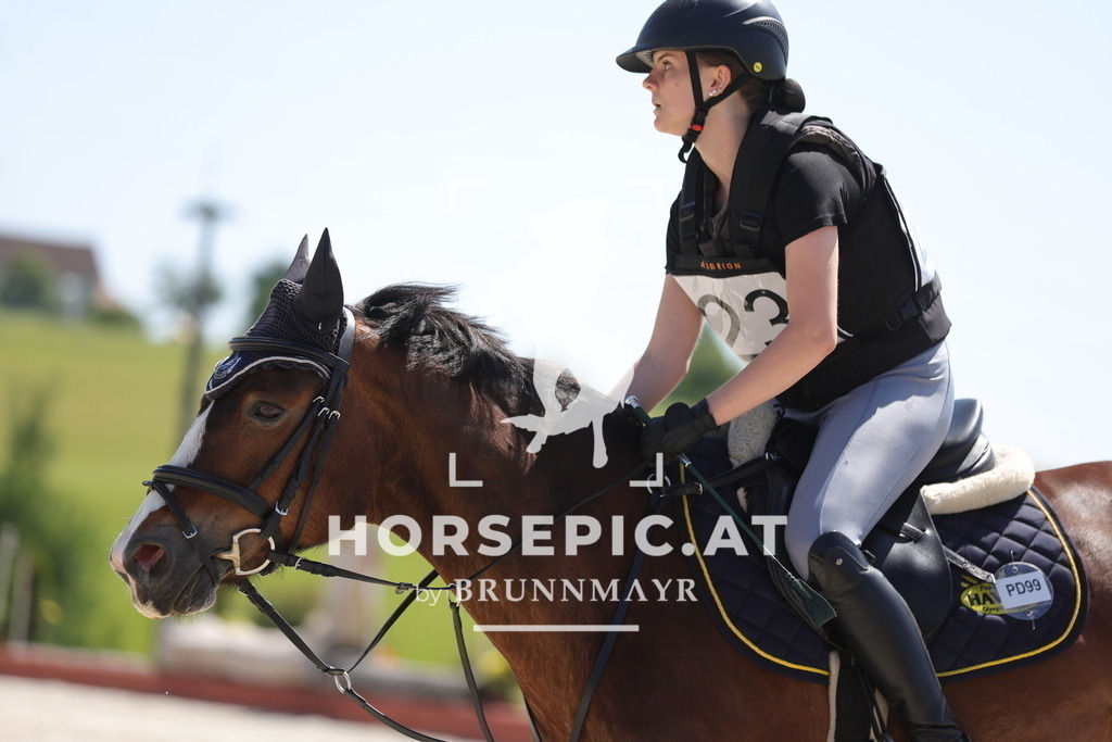 0P6A3463 | Willkommen bei Brunnmayr - Design & Fotografie – Ihrem Spezialisten für Reitturniere und Pferdeveranstaltungen in Oberösterreich, Salzburg und Bayern! Seit über 17 Jahren sind wir leidenschaftlich dabei.
