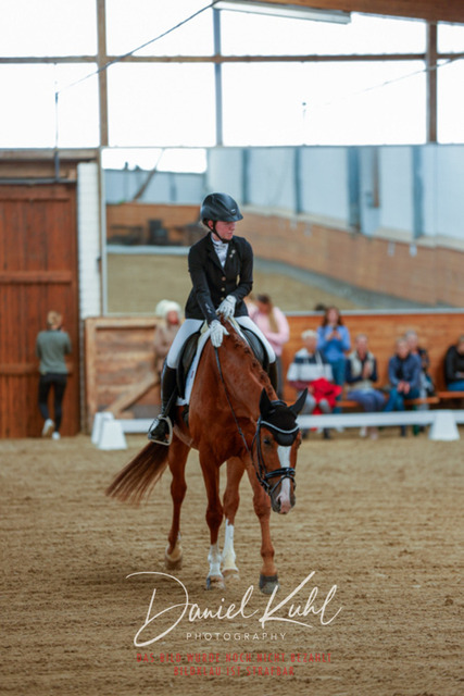 _62_5157 | Turniersportfotografie; Pferdefotografie; Dressurfotografie