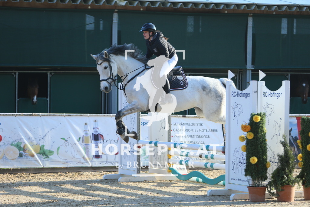 DL2Q7356 | Willkommen bei Brunnmayr - Design & Fotografie – Ihrem Spezialisten für Reitturniere und Pferdeveranstaltungen in Oberösterreich, Salzburg und Bayern! Seit über 17 Jahren sind wir leidenschaftlich dabei.