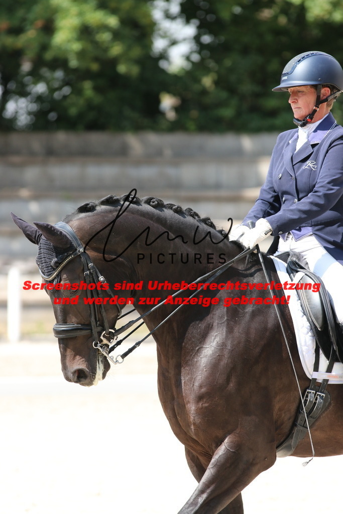 IMG_7414 | lmwpictures - Realisiert mit Pictrs.com