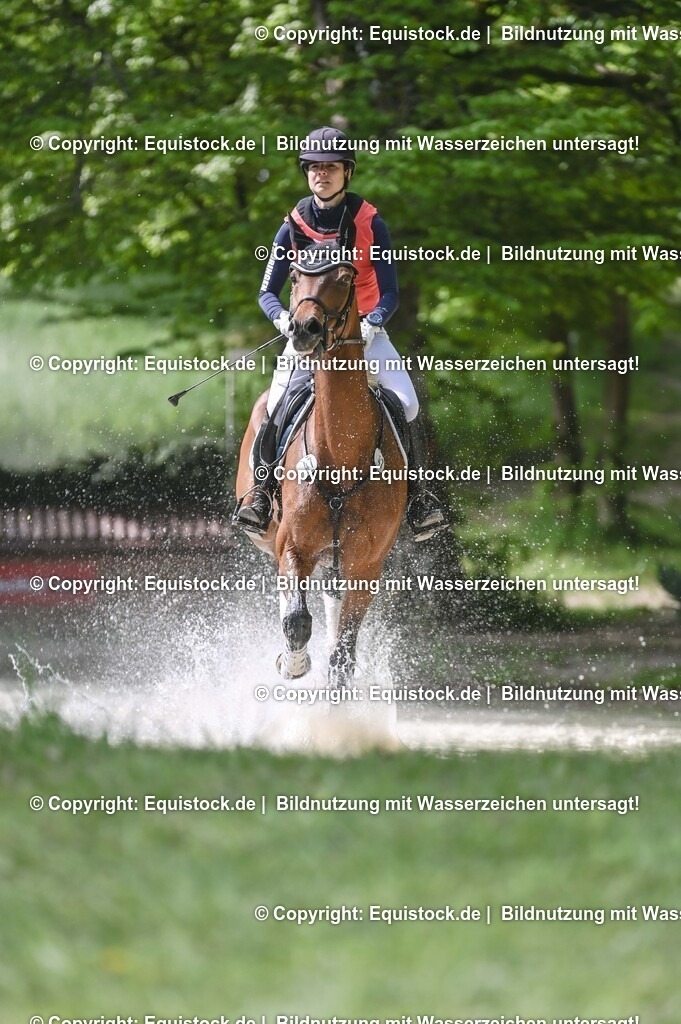 20250517_CCI2_Gelände_1085 | Foto: Thomas Hartig