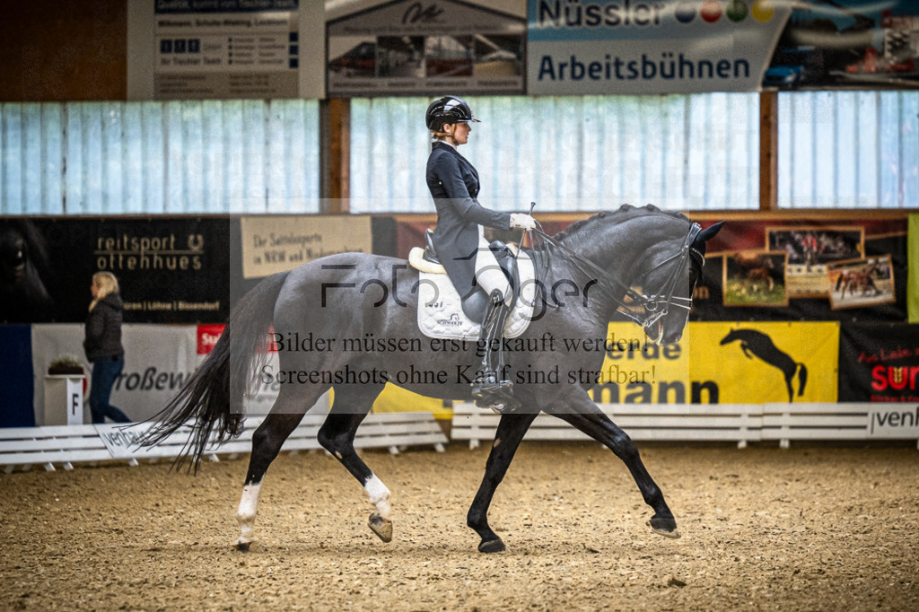 DOS_0452 | Entdecke hochwertige Reitturnierfotos von Foto Oger. Professionell, emotional und authentisch – jetzt Lieblingsmomente im Shop bestellen.Deutschlandweite Turnierfotografie. - Realisiert mit Pictrs.com