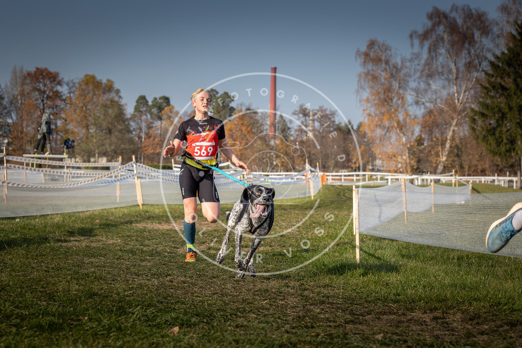 CaniXpix_0L8A9482 | Hundefotografie, Tierfotograf, Pfotenfotografie, Fotoshooting Hund, Hunde Portrait, Hundesport, Hundeportraits, Heideshooting, Hunde, Sportfotograf, Hundefotograf, Turnierhundsport, THS,  - Realisiert mit Pictrs.com