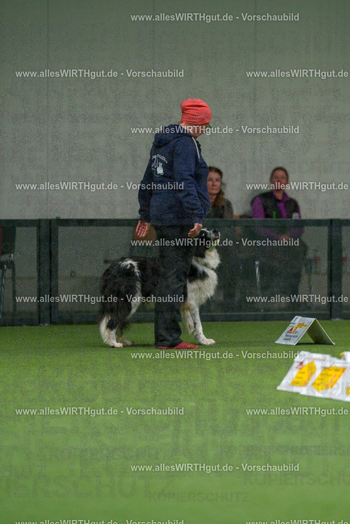 7R504539 | Professionelle Tierfotografie in Mönchengladbach von Daniel Wirth (allesWIRTHgut). Liebevolle & natürliche Bilder von Hunden & Katzen für unvergessliche Erinnerungen.