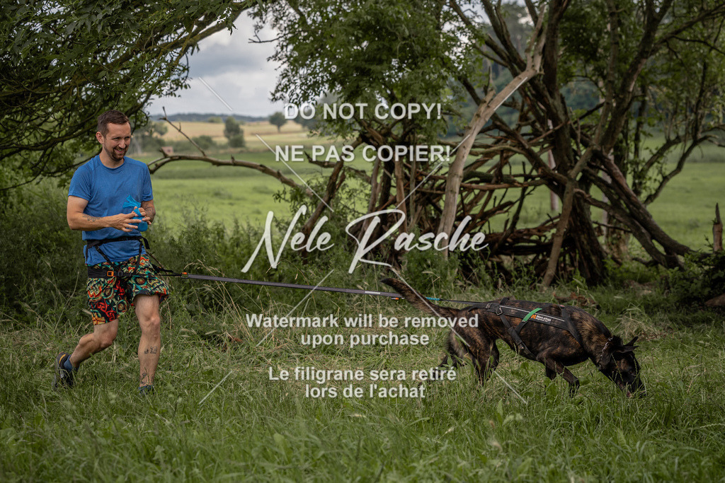 nelerasche_DoN_136 | nelerasche