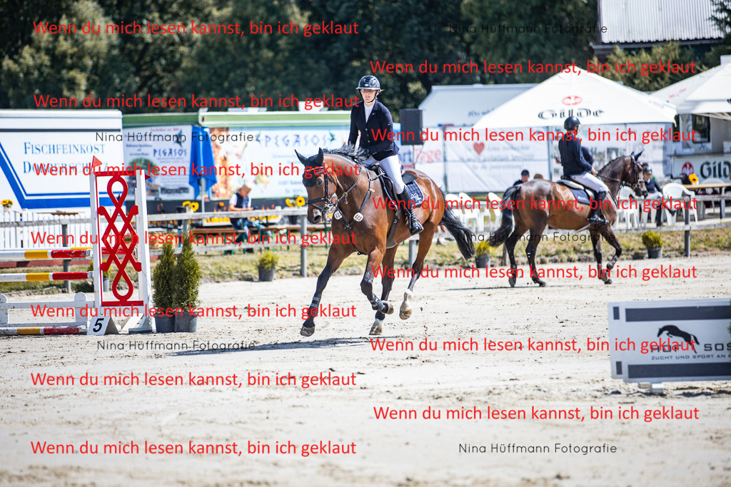 BK1A5005 | Turnierbilder Turnierfotos Nina Hüffmann Turnierfotografie Pferdefotografie Tierzeichnung Haustierzeichnung Pferdezeichnung Hundezeichnung Videograf  - Realisiert mit Pictrs.com