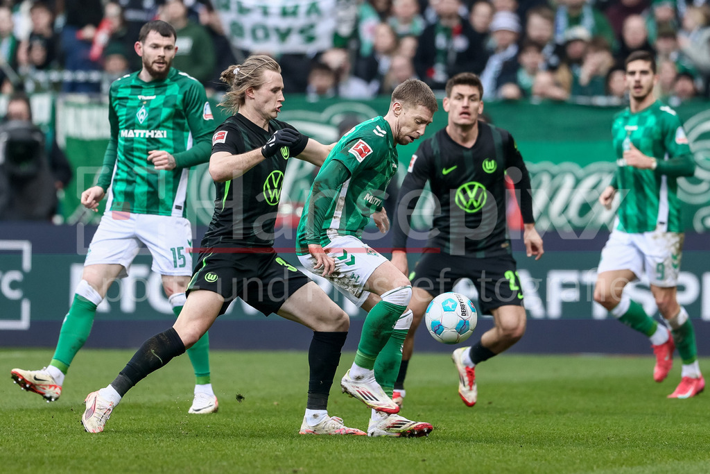 Fussball, Bundesliga, SV Werder Bremen - VfL Wolfsburg | v.li.: Patrick Wimmer (VfL Wolfsburg, 39) und Mitchell Weiser (SV Werder Bremen, 8) im Zweikampf, Duell, Dynamik, Aktion, Action, Spielszene, DIE DFL-RICHTLINIEN UNTERSAGEN JEGLICHE NUTZUNG VON FOTOS ALS SEQUENZBILDER UND/ODER VIDEOÄHNLICHE FOTOSTRECKEN. DFL REGULATIONS PROHIBIT ANY USE OF PHOTOGRAPHS AS IMAGE SEQUENCES AND/OR QUASI-VIDEO.
