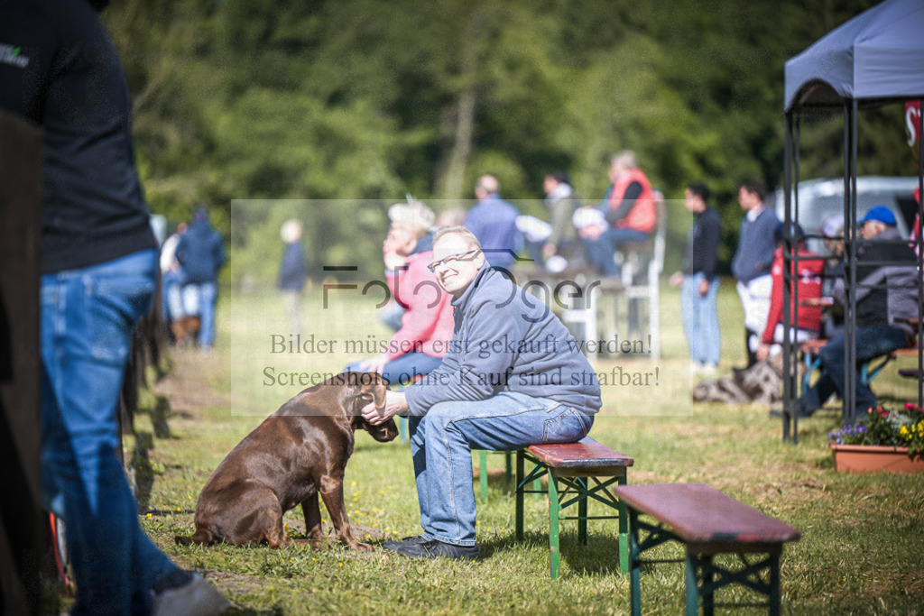 DOS_7991 | Entdecke hochwertige Reitturnierfotos von Foto Oger. Professionell, emotional und authentisch – jetzt Lieblingsmomente im Shop bestellen.Deutschlandweite Turnierfotografie. - Realisiert mit Pictrs.com