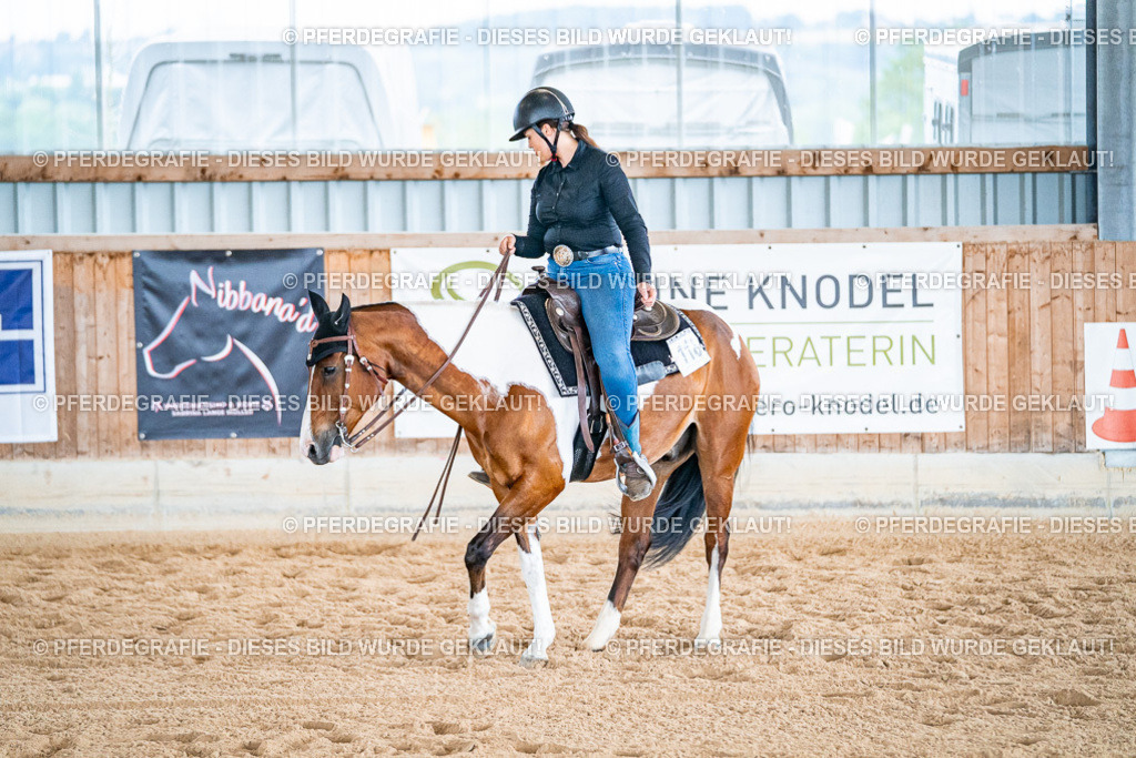 DSC09819 | Pferdegrafie