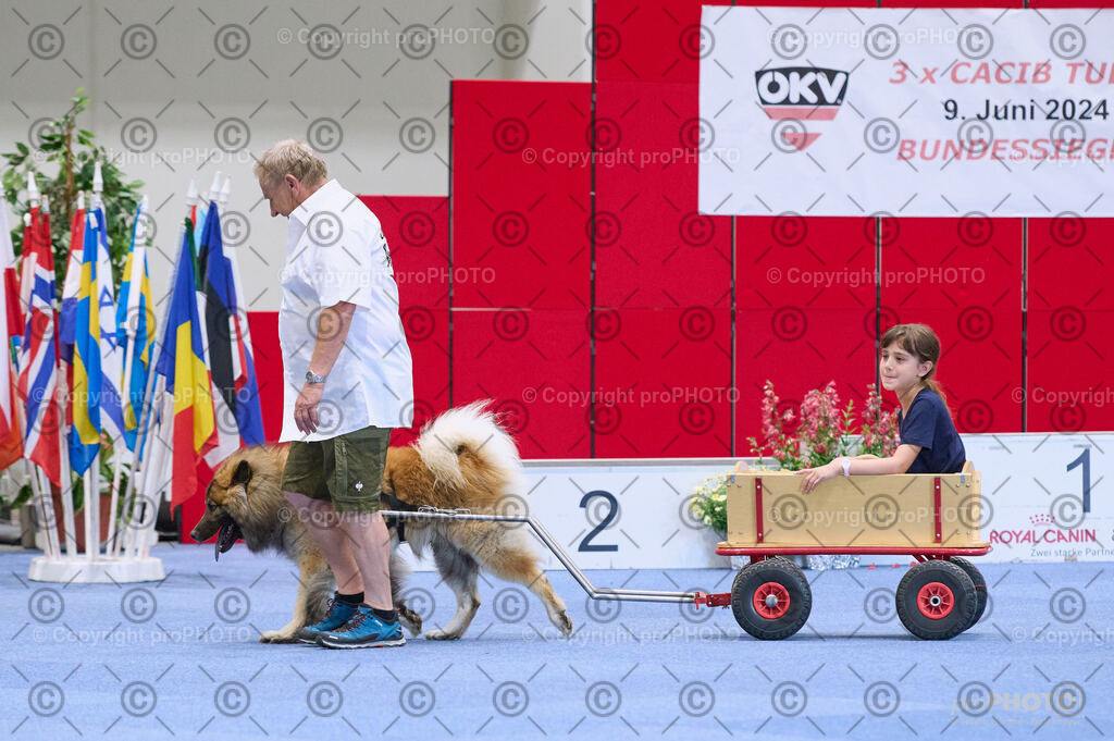 202406_ÖKV-IHA-Tulln24_DSC_4647 | proPHOTO - Realisiert mit Pictrs.com