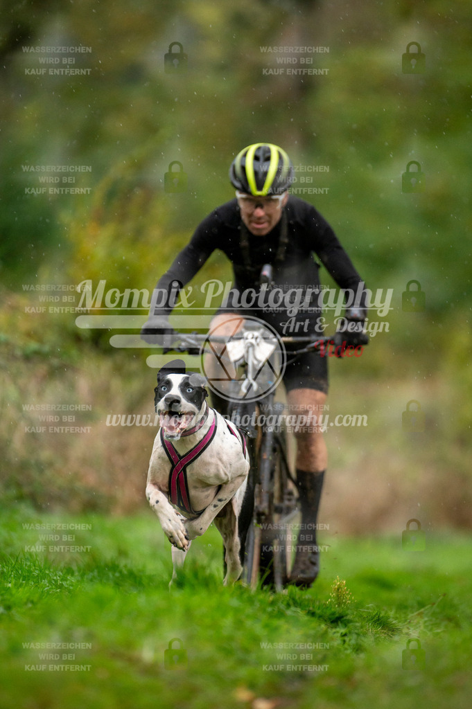 TSB_2023_E6_Bike-2 | PayLife