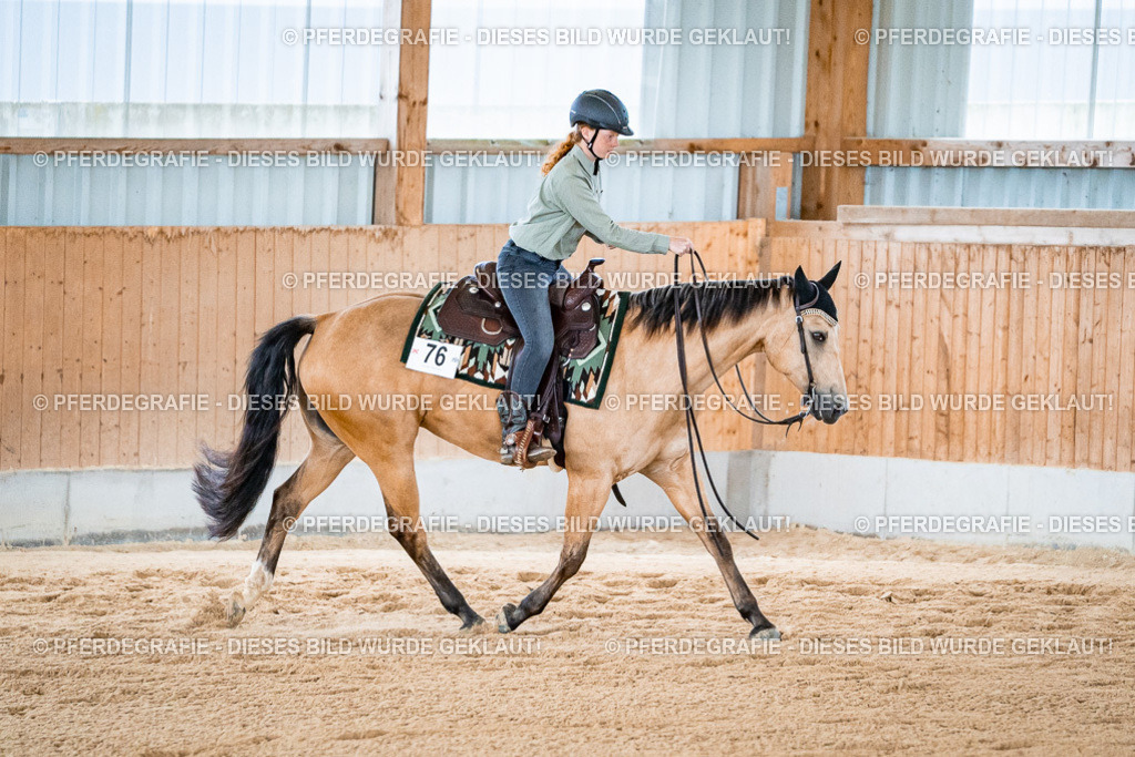 DSC09668 | Pferdegrafie