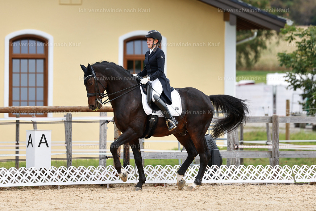 11-007-Dressur S___-StoibPH-1111 | working equitationturnier fotograf videograf stoibphotography marixx film working equitation deutschland reitsport turnierfotografie eventfotografie equestrian events