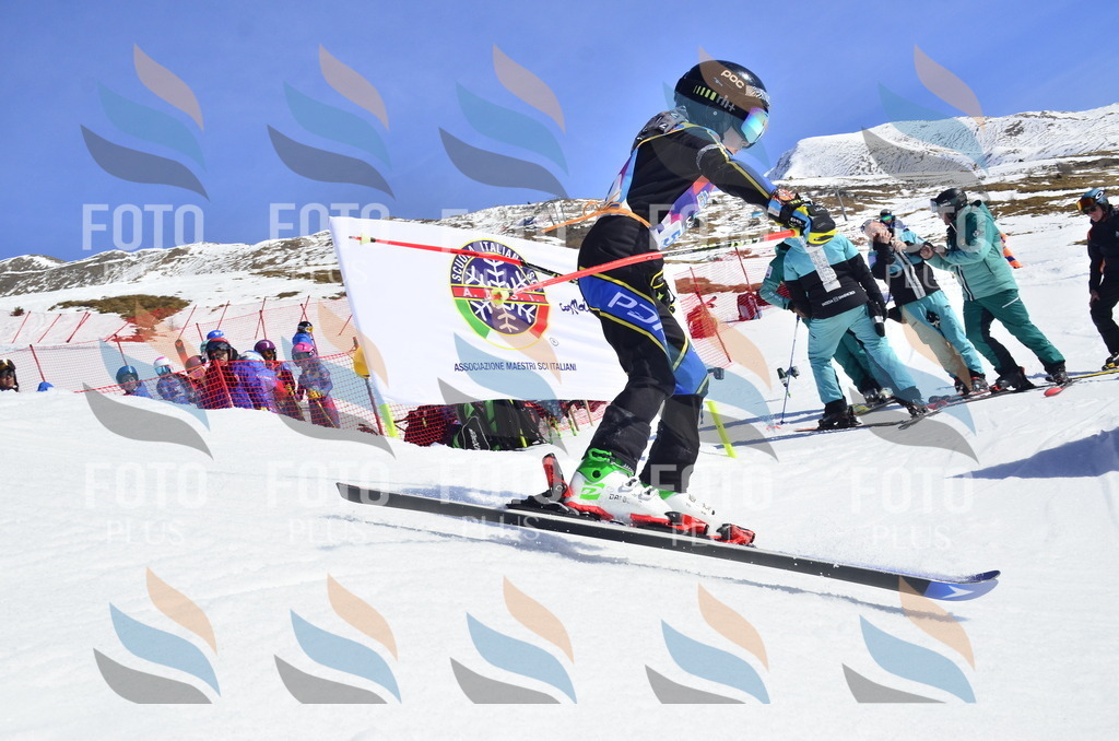 _ELE0221 | holidayphoto