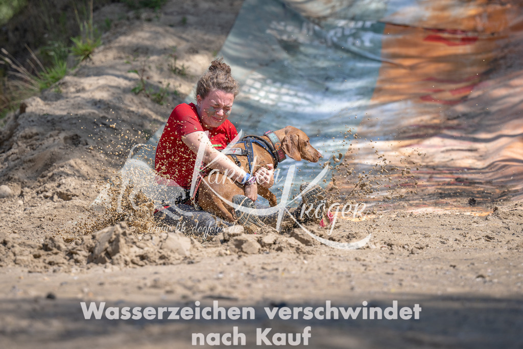 1156_ZZ90812 | kk-dogfotos