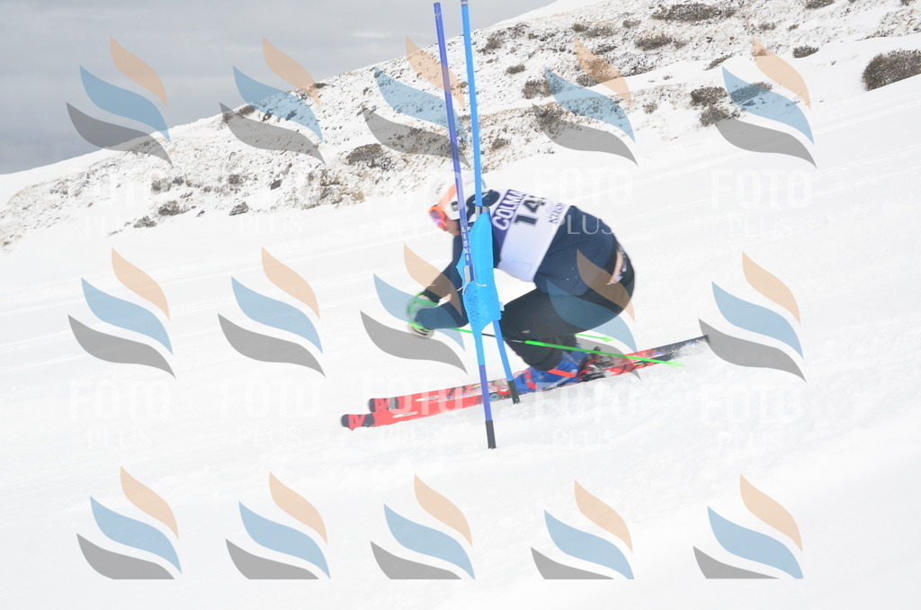 A6237 | holidayphoto