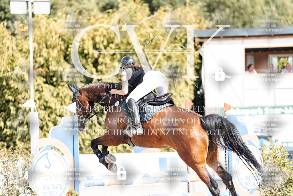 CK909146 | Turnierfotografie Pferdefotografie Trier Rheinland-Pfalz Pferdesport Reitsport Tierfotografie Sportfotografie Pferdevideo Pferdevideografie Equestrianvideography equestrianphotography  - Realisiert mit Pictrs.com
