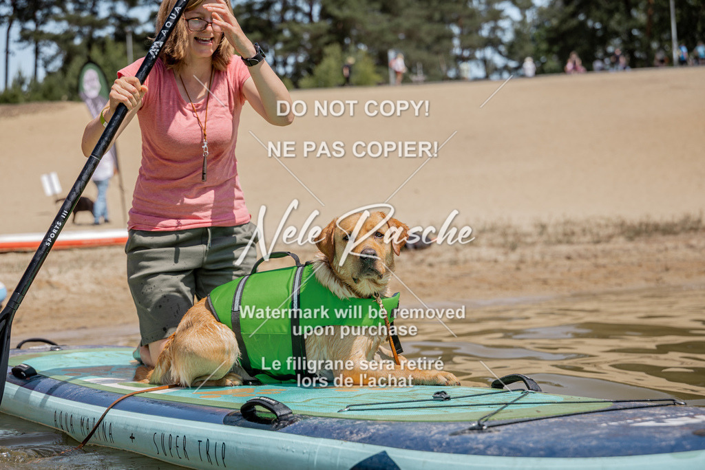 nelerasche_saSUP1_68 | nelerasche
