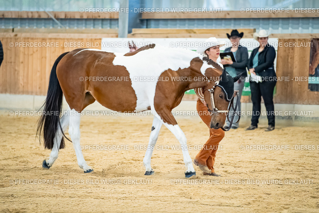 DSC09726 | Pferdegrafie