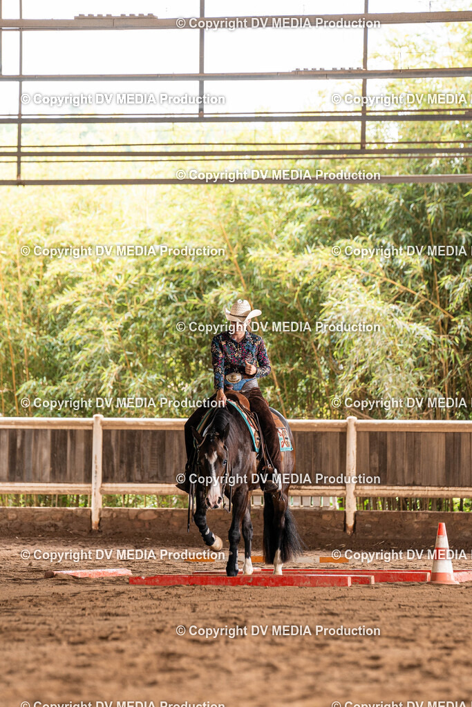 Erbach Tag 1-622 | dv-media-shop - Realisiert mit Pictrs.com