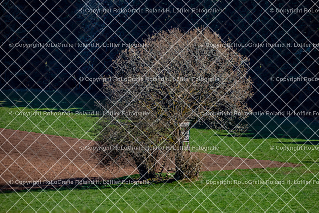 Landschaft-02 | Hochsitz am Baum mitten auf dem Feld - Realisiert mit Pictrs.com