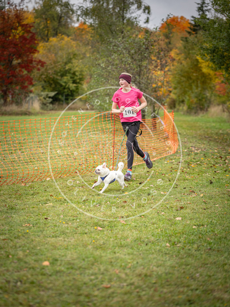 Pfotenfotografie_DV3A3477 | Hundefotografie, Tierfotograf, Pfotenfotografie, Fotoshooting Hund, Hunde Portrait, Hundesport, Hundeportraits, Heideshooting, Hunde, Sportfotograf, Hundefotograf, Turnierhundsport, THS,  - Realisiert mit Pictrs.com