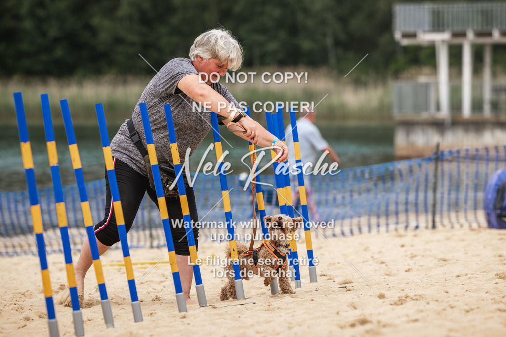 nelerasche_BuHu2026_So1330-1430_157 | nelerasche
