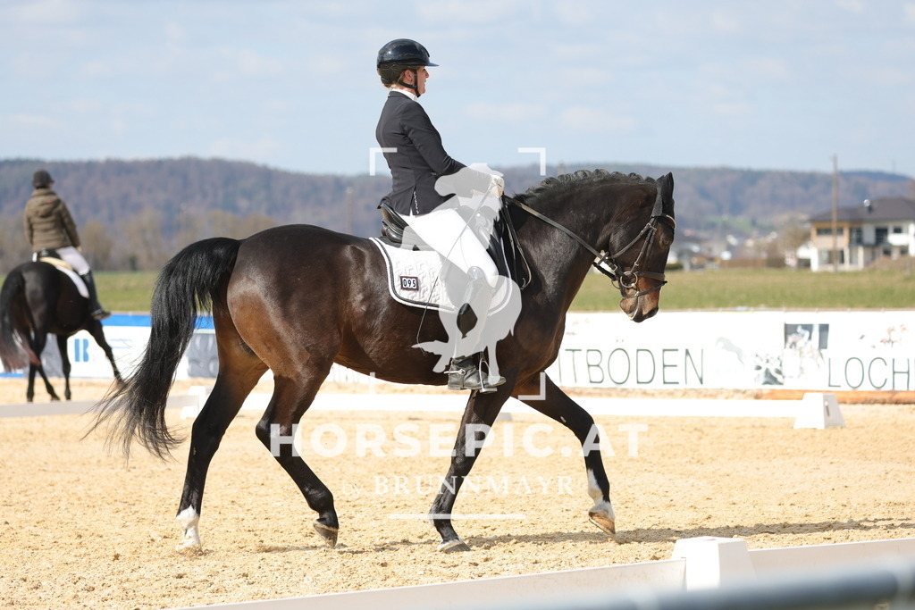 0P6A7716 | Willkommen bei Brunnmayr - Design & Fotografie – Ihrem Spezialisten für Reitturniere und Pferdeveranstaltungen in Oberösterreich, Salzburg und Bayern! Seit über 17 Jahren sind wir leidenschaftlich dabei.