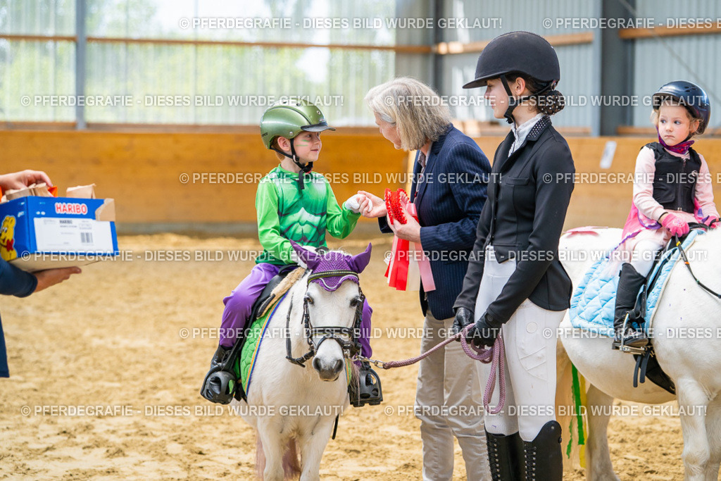 DSC00260 | Pferdegrafie