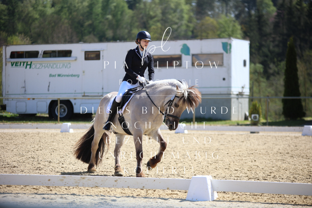 IMGT2015 | pl-fotografie