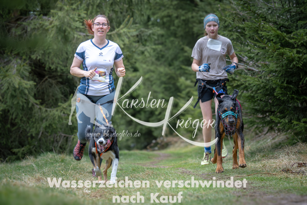 1304_ZZ93566 | kk-dogfotos