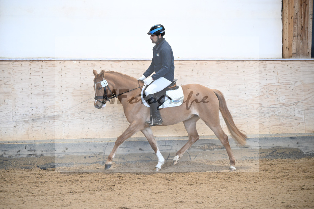 Kat-Nr. 12 Bye Bye Biene v. Dropje voor Dropje_Fraatz GbR_50250059 | hf-fotografie - Realisiert mit Pictrs.com