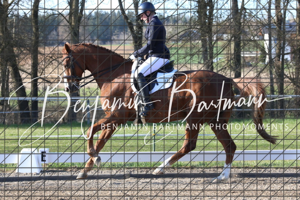 AZ2A5437 | Benjamin Bartmann Photomoments