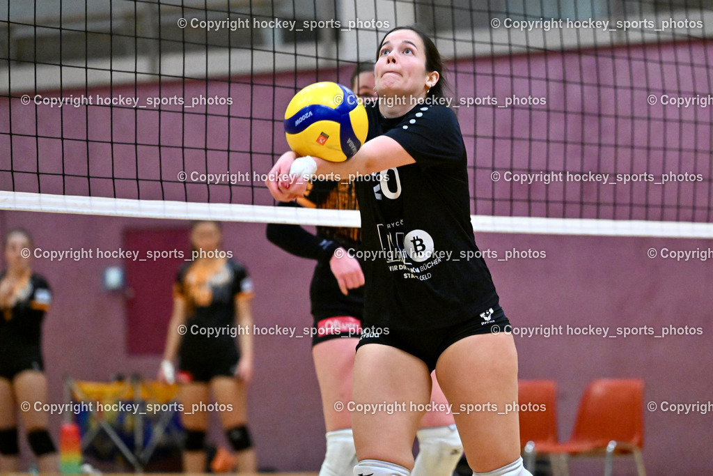 ASKÖ Volley Eagles Villach vs. VC Hausmannstätten | #20 KUMP Johanna VC Hausmannstätten, ASKÖ Volley Eagles Villach vs. VC Hausmannstätten, ASKÖ Volley Eagles Villach vs. VC Hausmannstätten am 01.02.2025 in Villach (Ballspielhalle Lind), Austria, (Photo by Bernd Stefan)