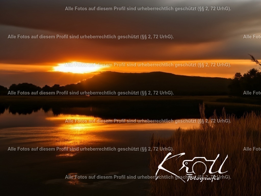 Photo_1713470644629 | krollfotografie - Realisiert mit Pictrs.com