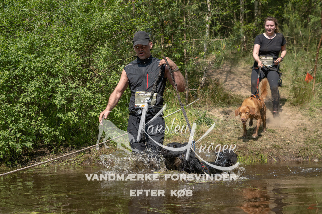 1056DKK991670 | kk-dogfotos