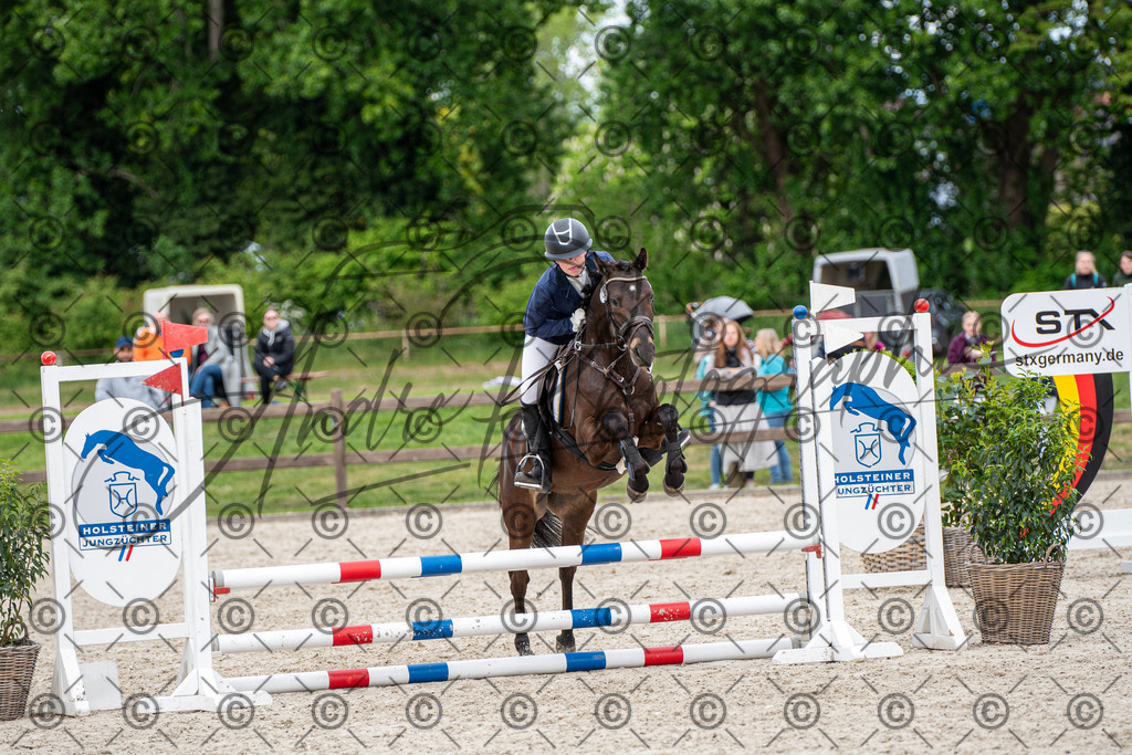 KPT_6365 | andre_photographic